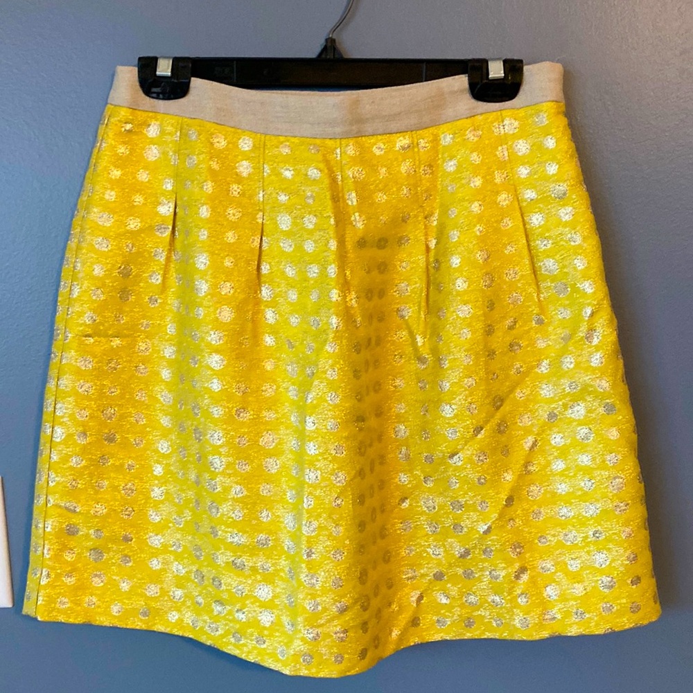 Ann Taylor LOFT Skirt - size 2 like new